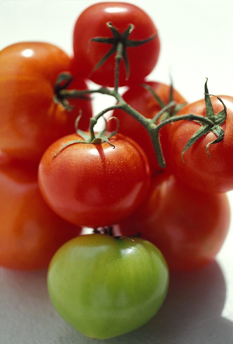 Rote Tomaten und eine grüne Tomate