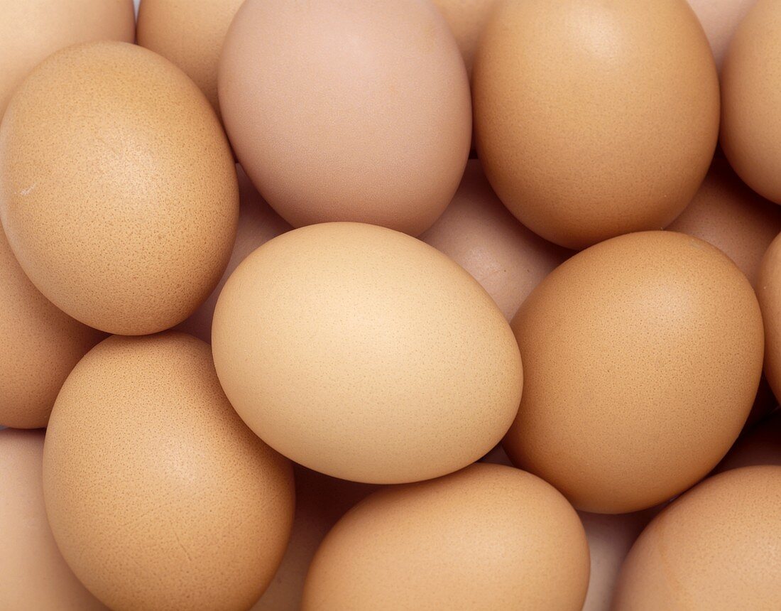 Brown Eggs