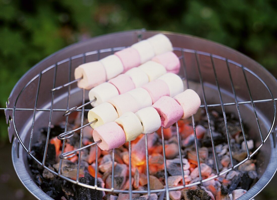 Marshmallows on a barbecue