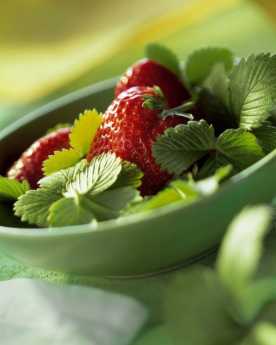 Frische Erdbeeren und Erdbeerblätter in einer grünen Schale