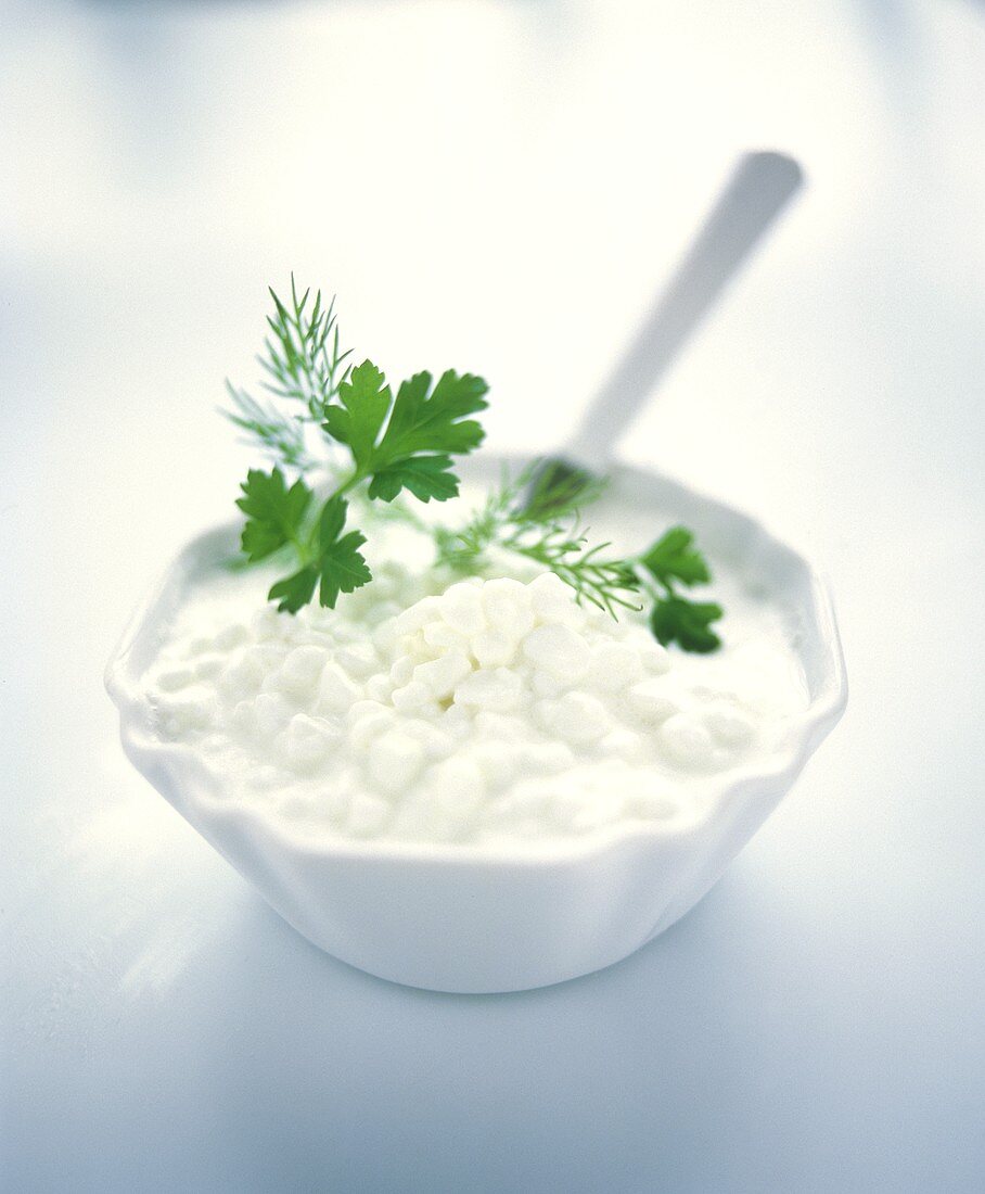 Cottage Cheese