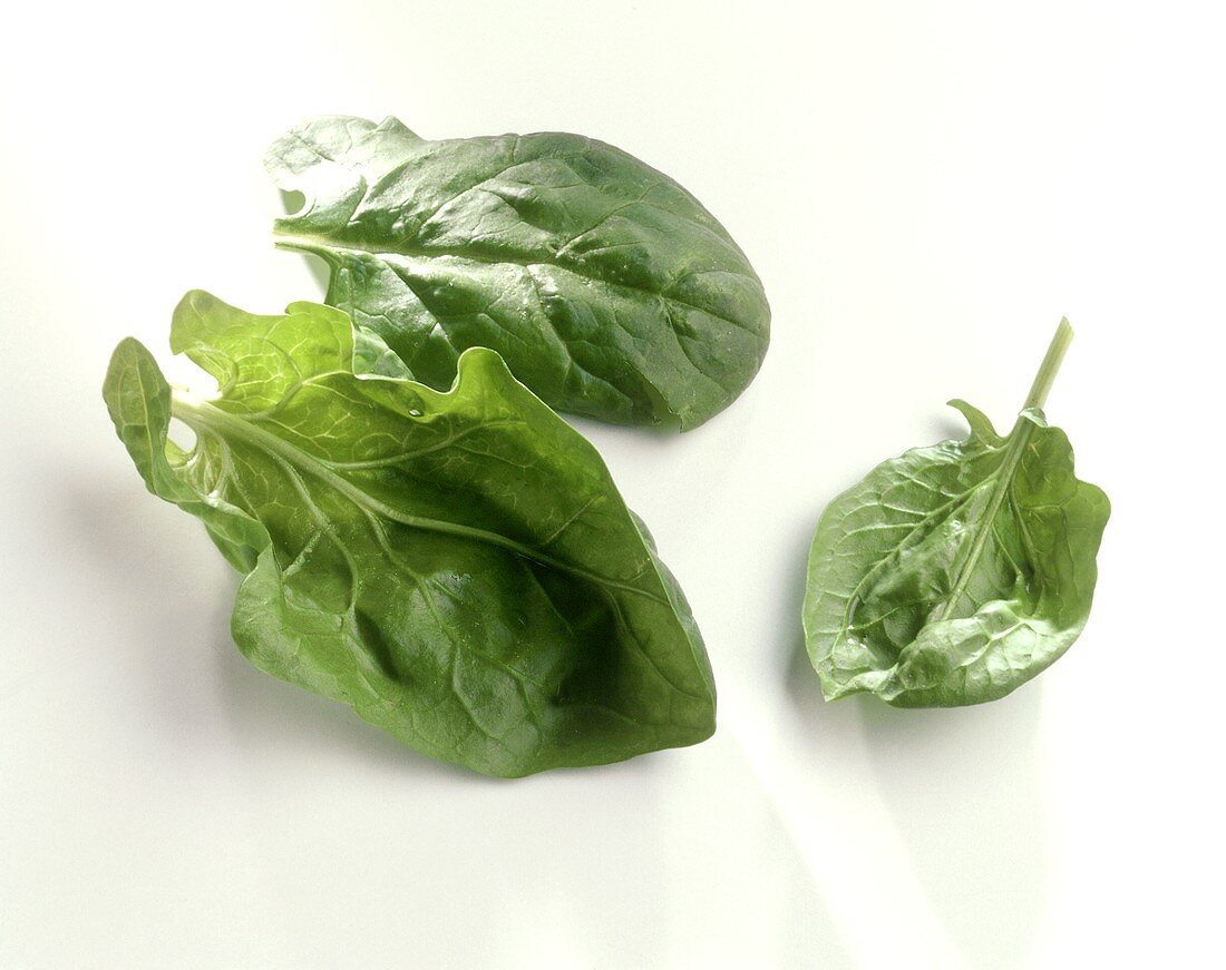 Three fresh spinach leaves