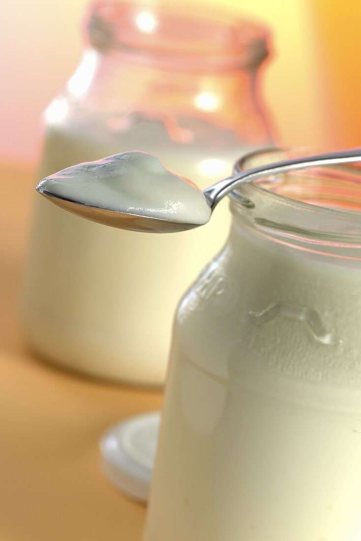 Naturjoghurt in zwei Joghurtgläsern und auf Löffel