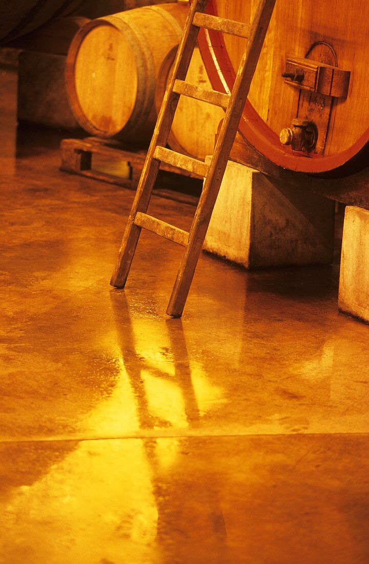 Barrels in wine cellar, Chateau Romanin, St. Remy de Provence