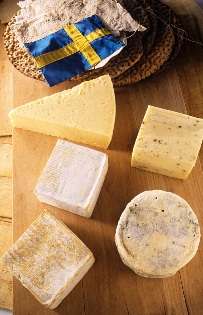 Various types of Scandinavian cheese