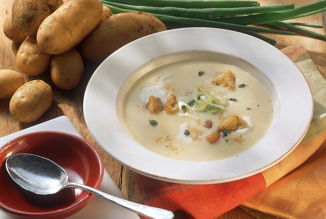 Veloute potato soup with herb croutons and onion tops