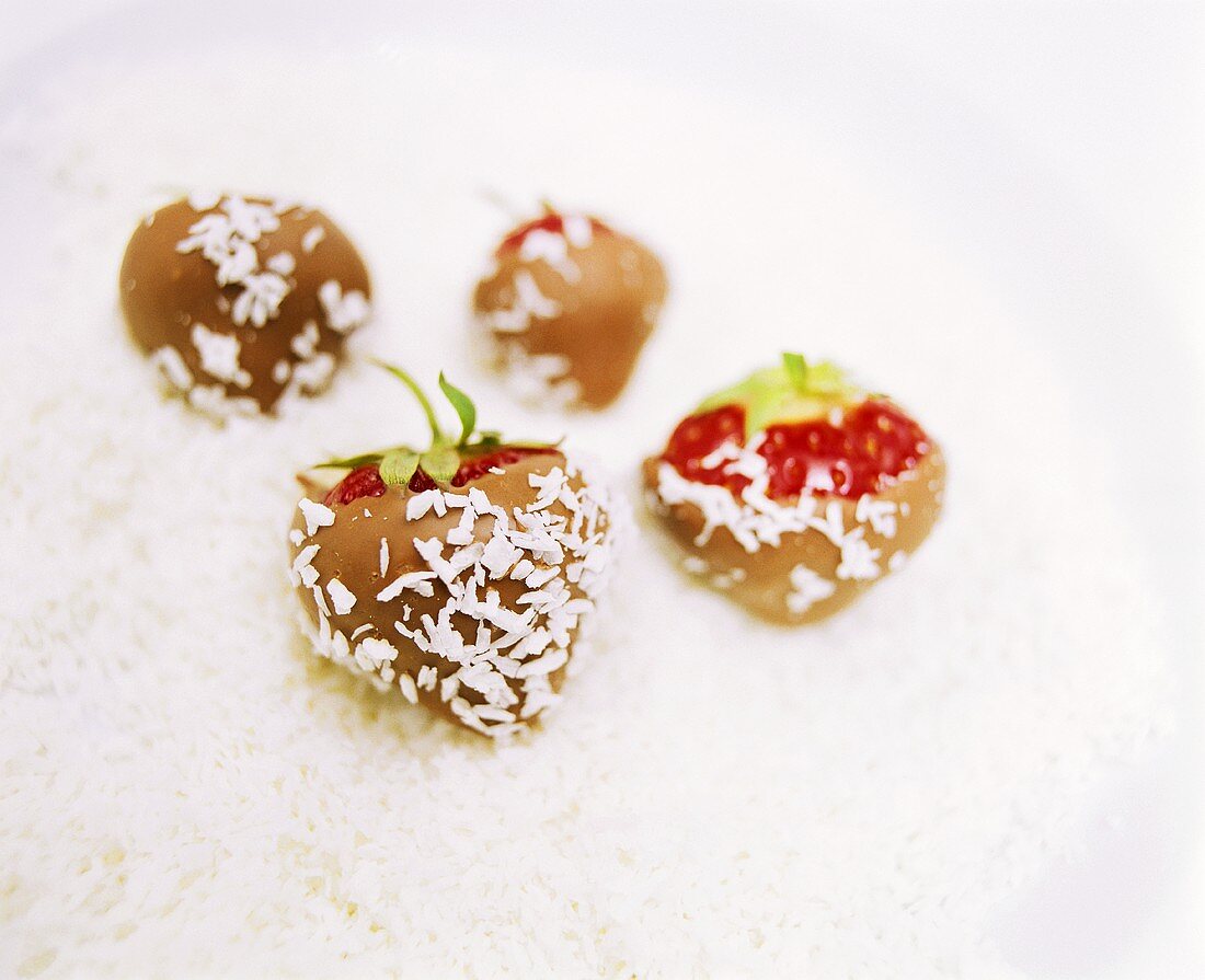 Chocolate-coated strawberries with grated coconut