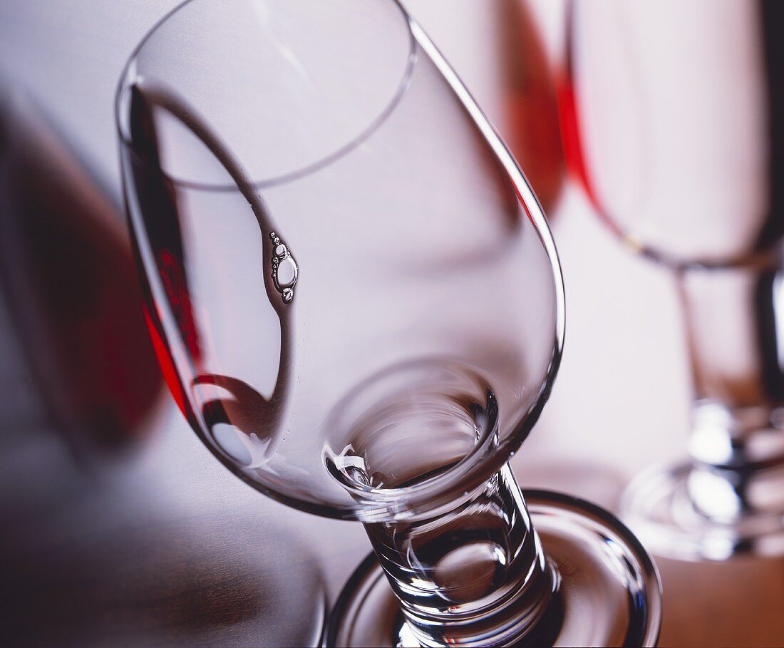 Wine tasting glass from the firm Riedel