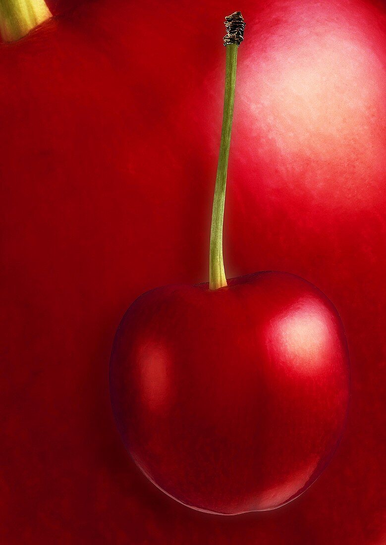 Sweet cherry, background; magnified cherry