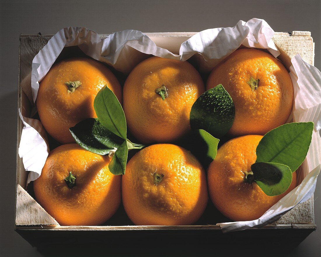Orangen in einer Steige