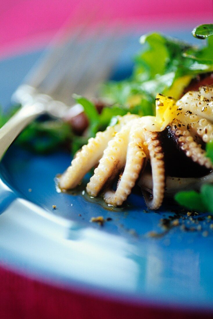 Green salad with cuttlefish