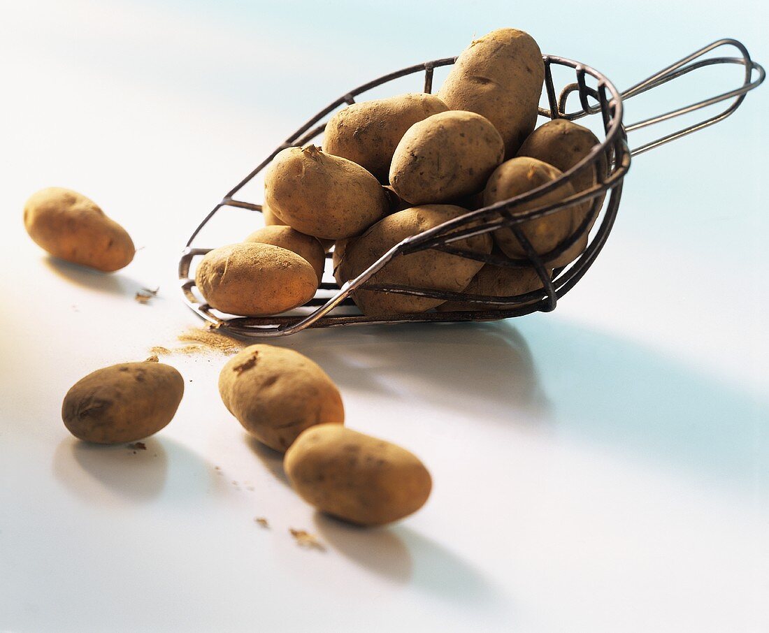Potatoes in a potato scoop