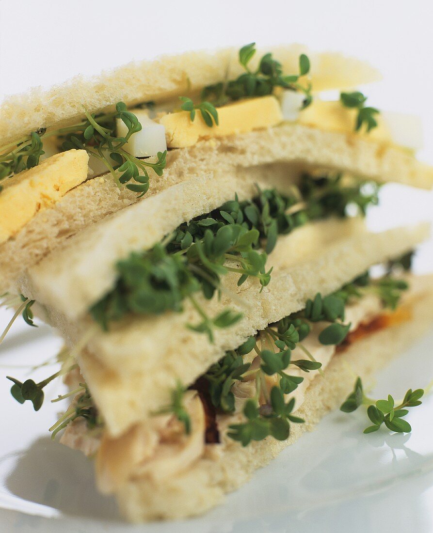 Sandwiches with chicken breast, garden cress and omelette