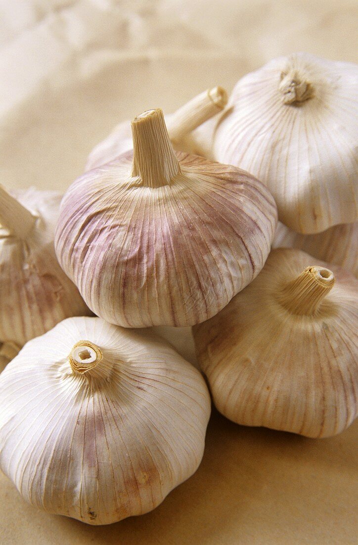 Garlic bulbs