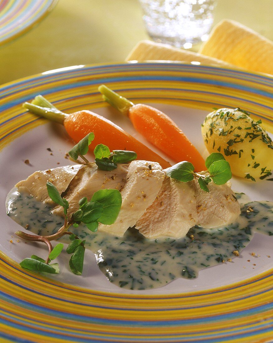 Chicken breast on watercress sauce with carrots & potato