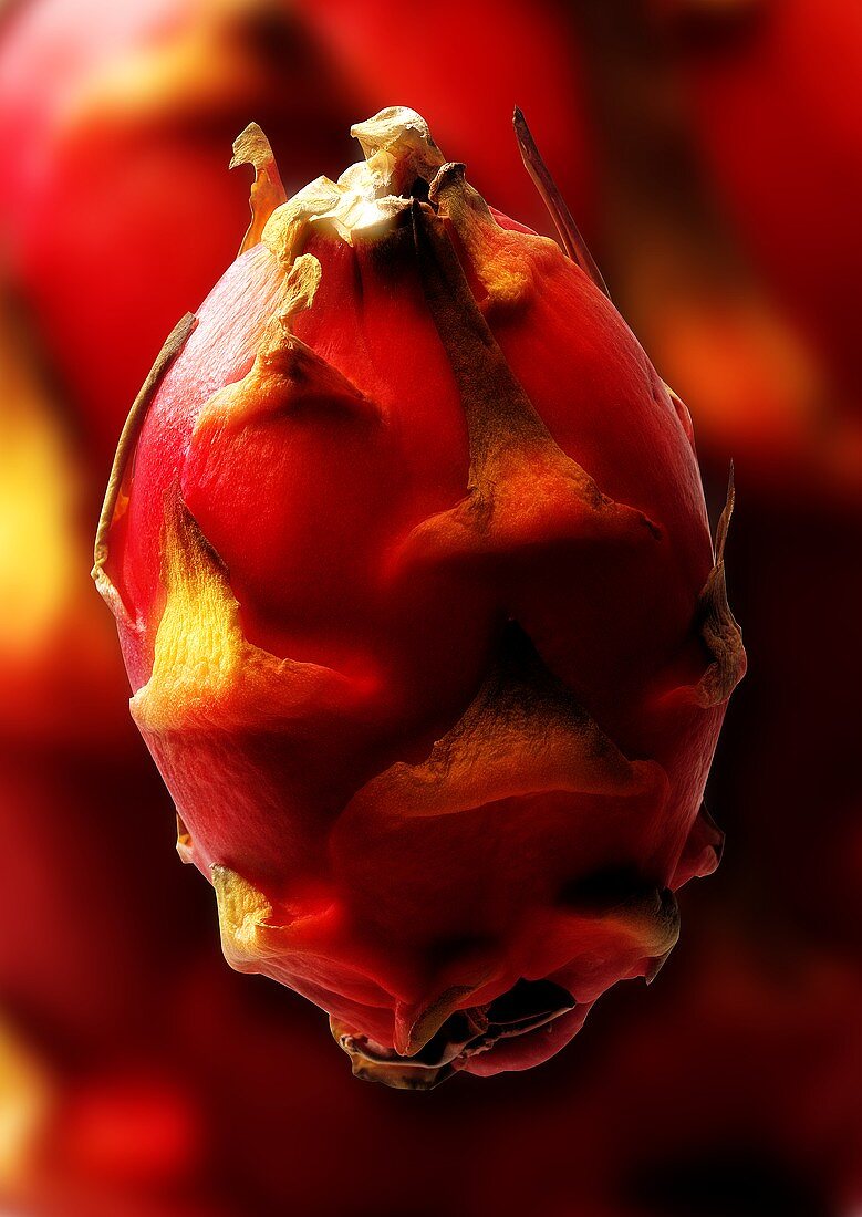 Red pitahaya, background: enlarged pitahaya