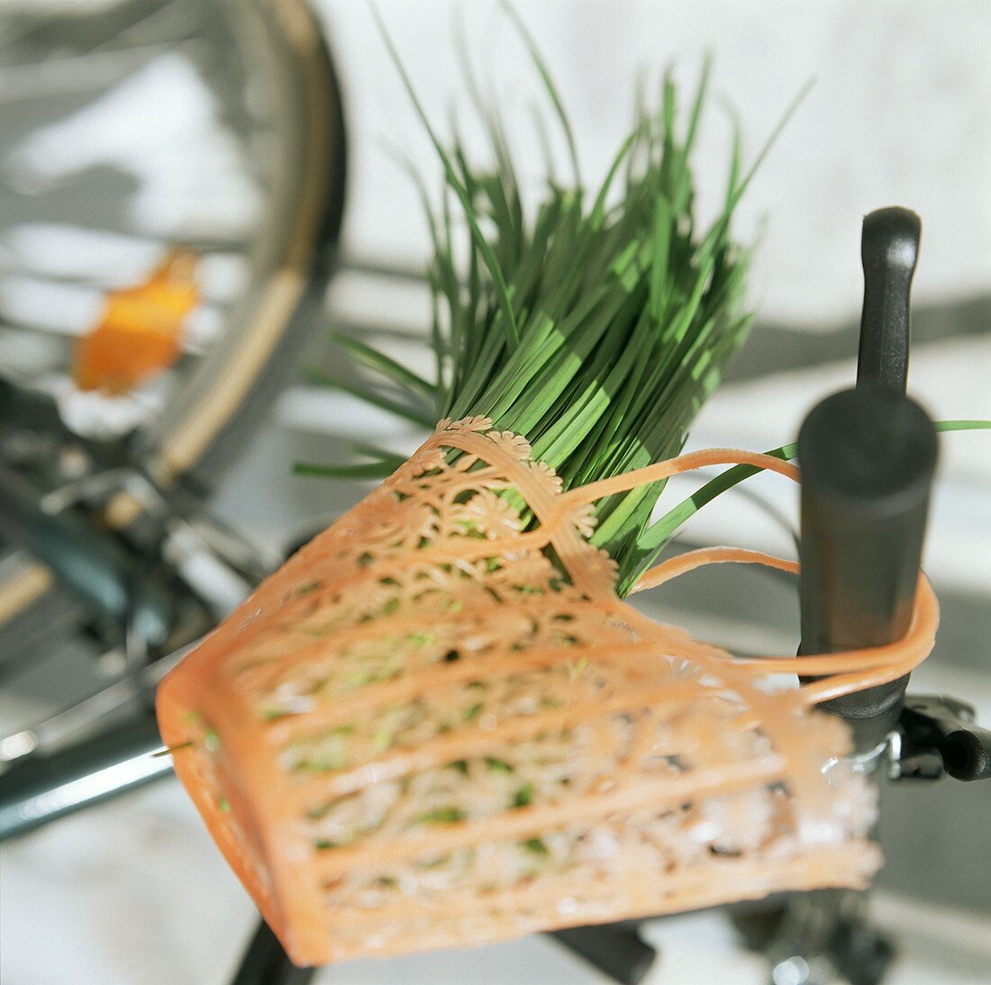 Garlic chives in shopping bag on a bicycle