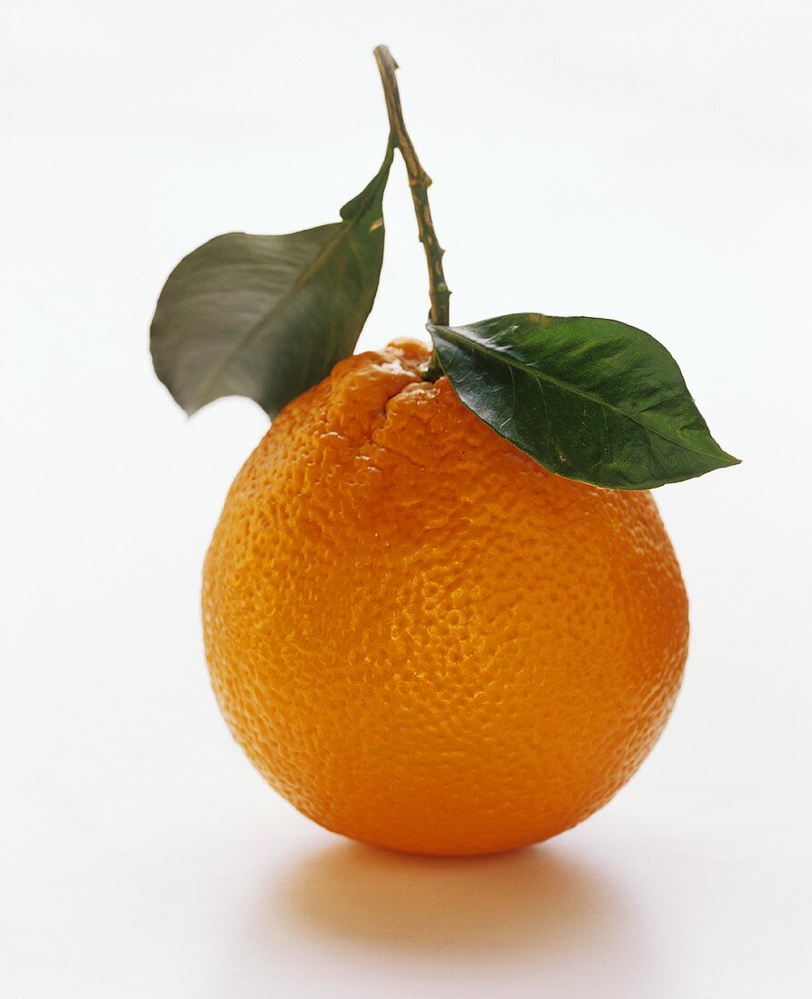 Spanische Orange mit Stiel und Blättern