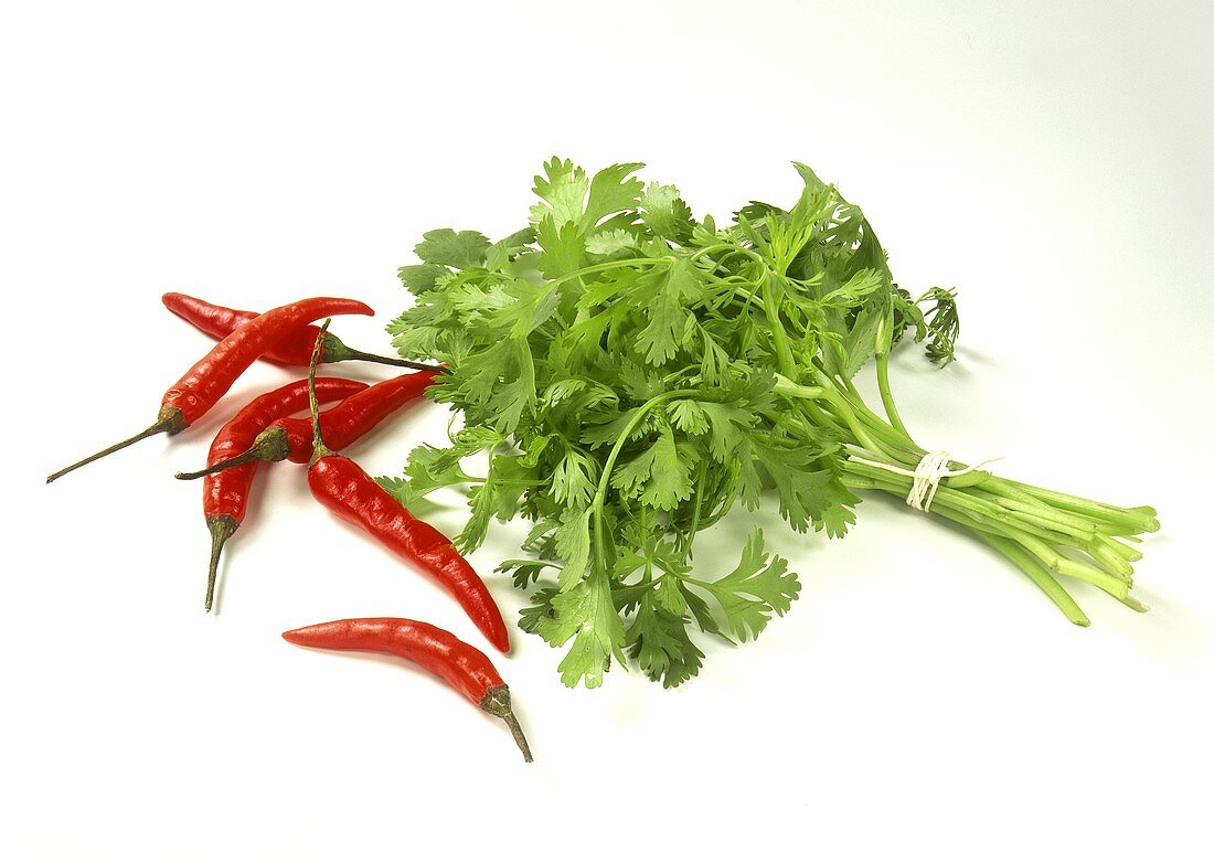 A bunch of coriander and chili peppers