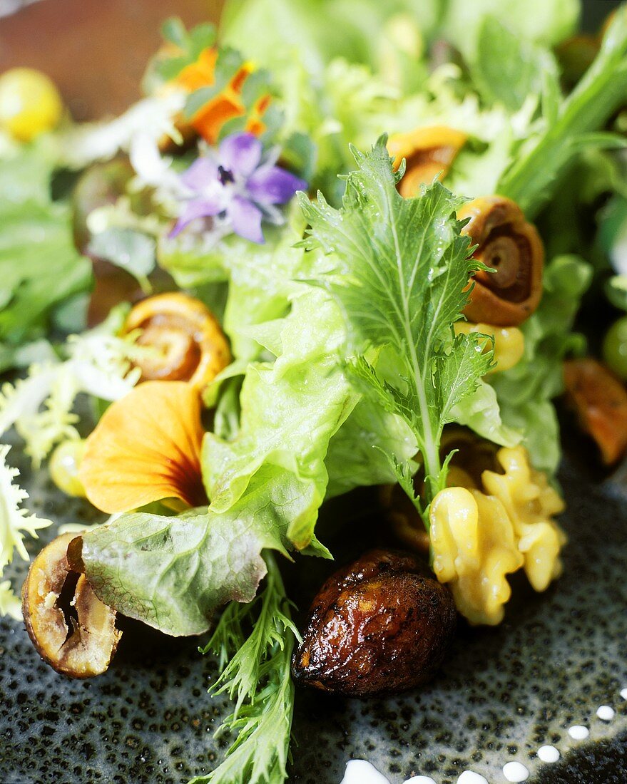 Gemischter herbstlicher Salat mit Pilzen und Kastanien