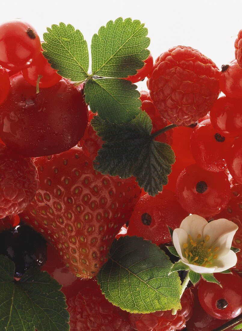 Strawberries, raspberries, redcurrants and a cherry