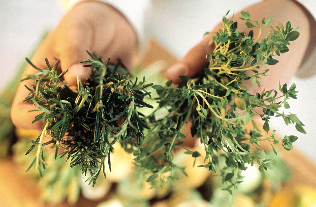 Hands holding fresh thyme and rosemary