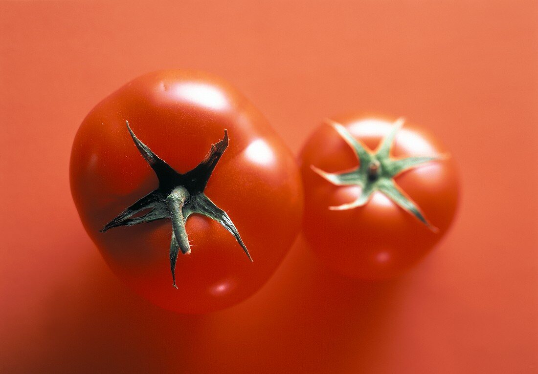 Zwei Tomaten auf rotem Untergrund
