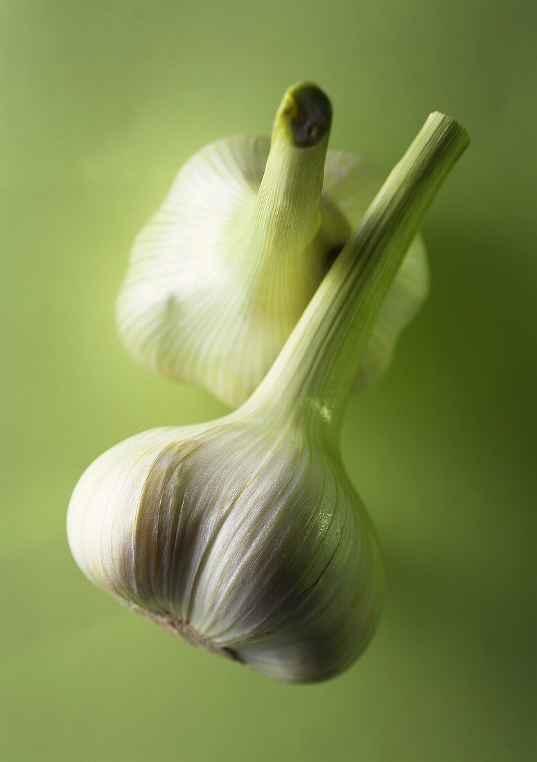 Two garlic bulbs against green background