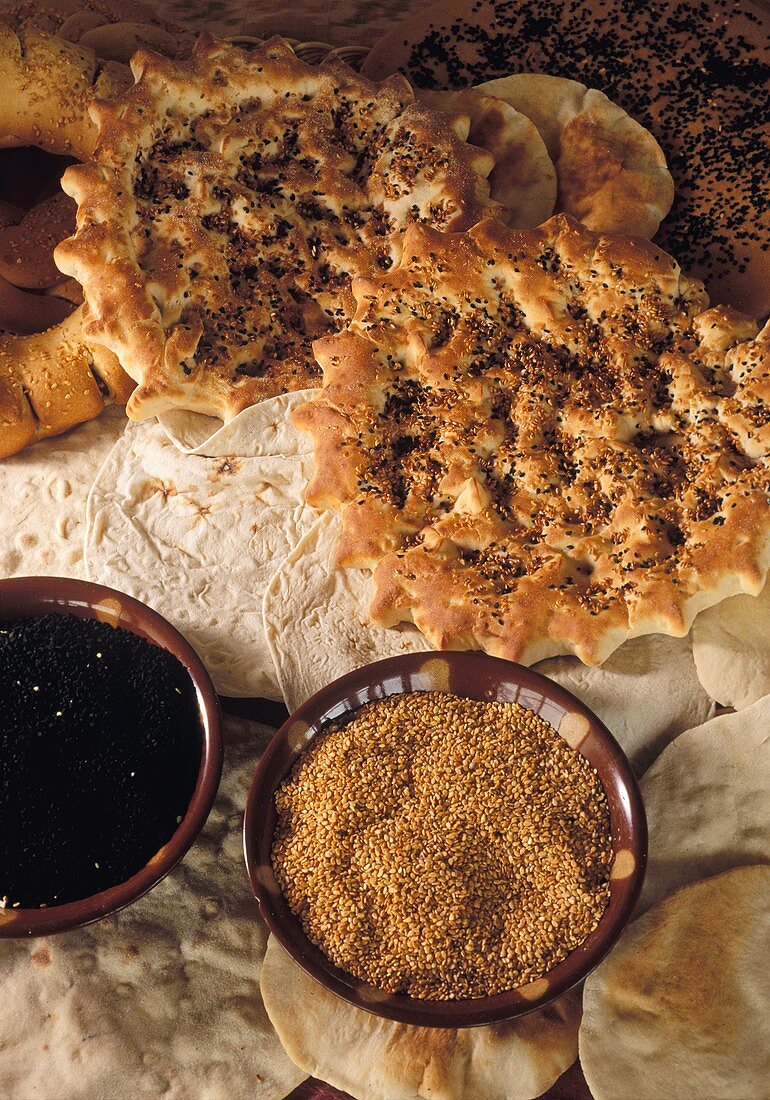 Various types of bread from Syria