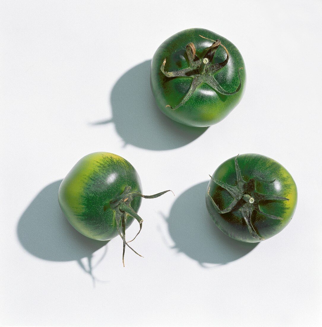 Grüne Tomaten