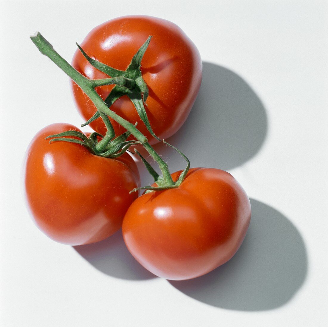 Cherry Tomatoes on the Vine