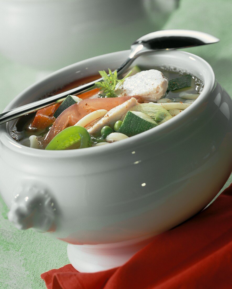 Andalusian chicken soup with vegetables and noodles