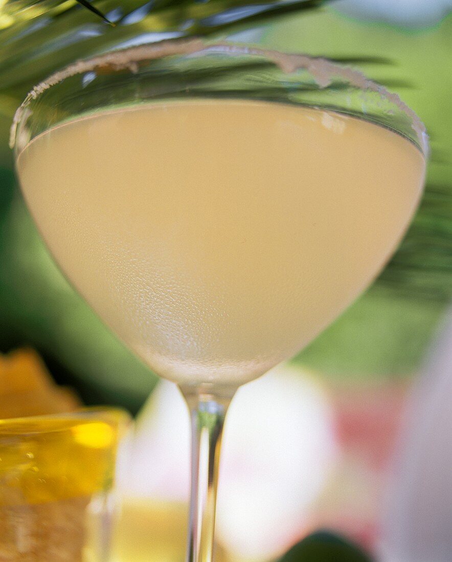 Margarita in cocktail glass