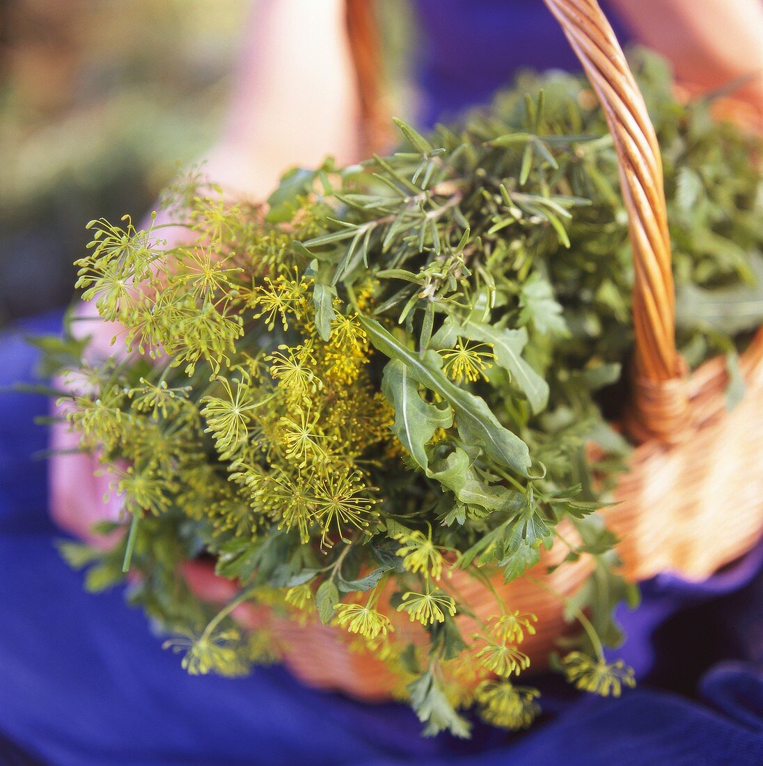 Various herbs in basket