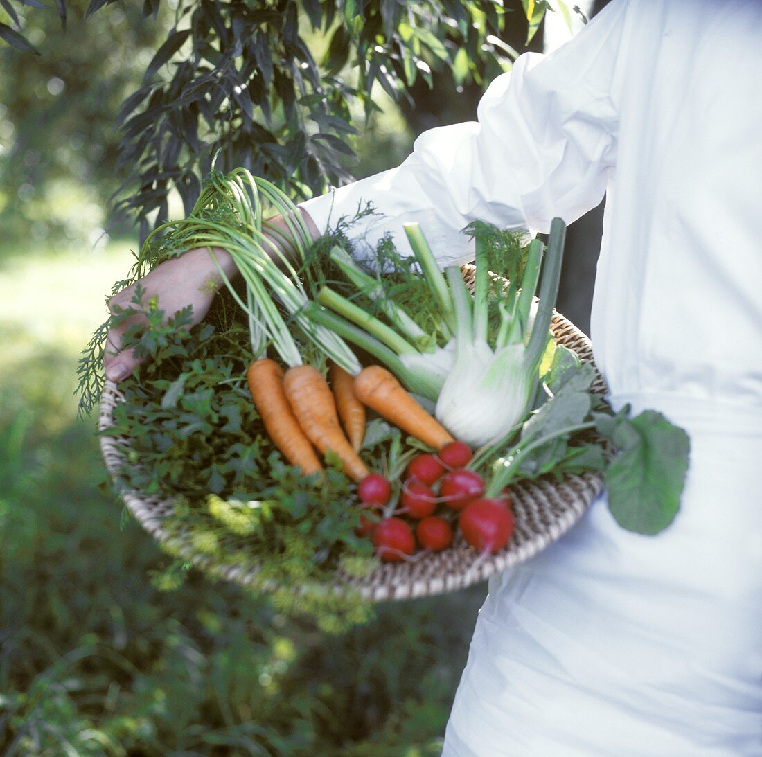 Various vegetables in a basket held by a woman