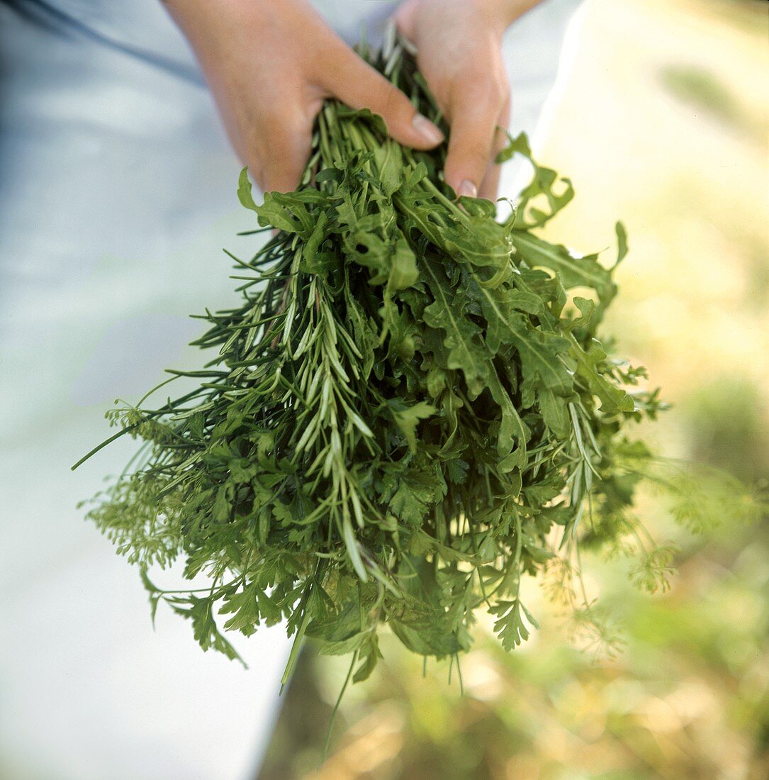 Hands Holding Herbs