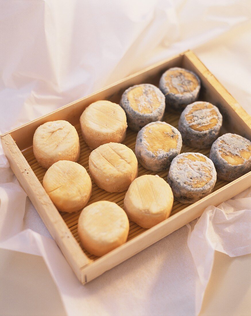 Several Crotin de Chavignol cheeses in a wooden box