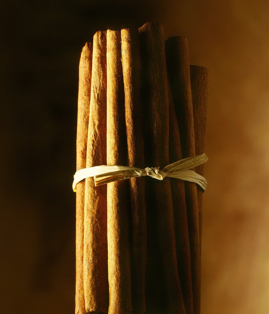 A bundle of cinnamon sticks