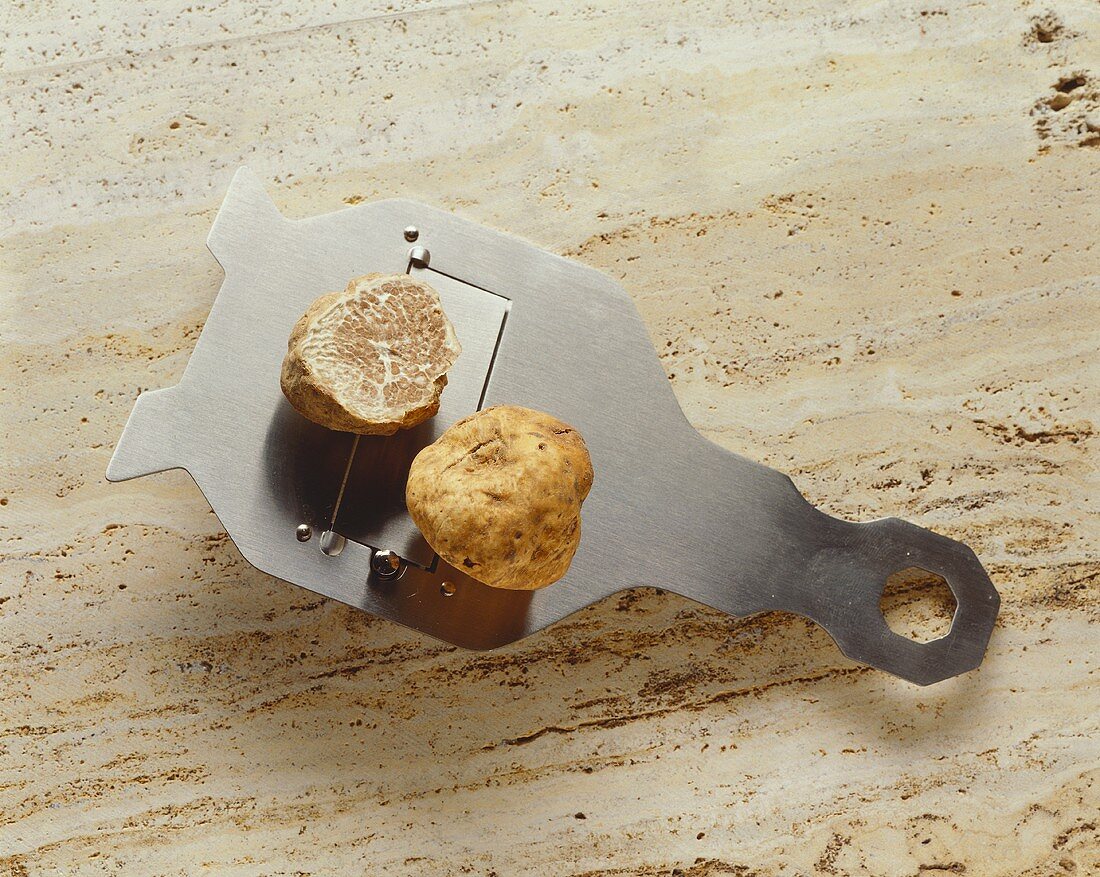 White truffle on a truffle plane