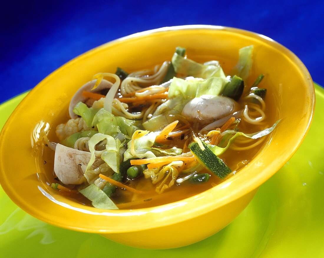 Vegetable soup (vegetable broth, vegetables, sprouts, noodles)