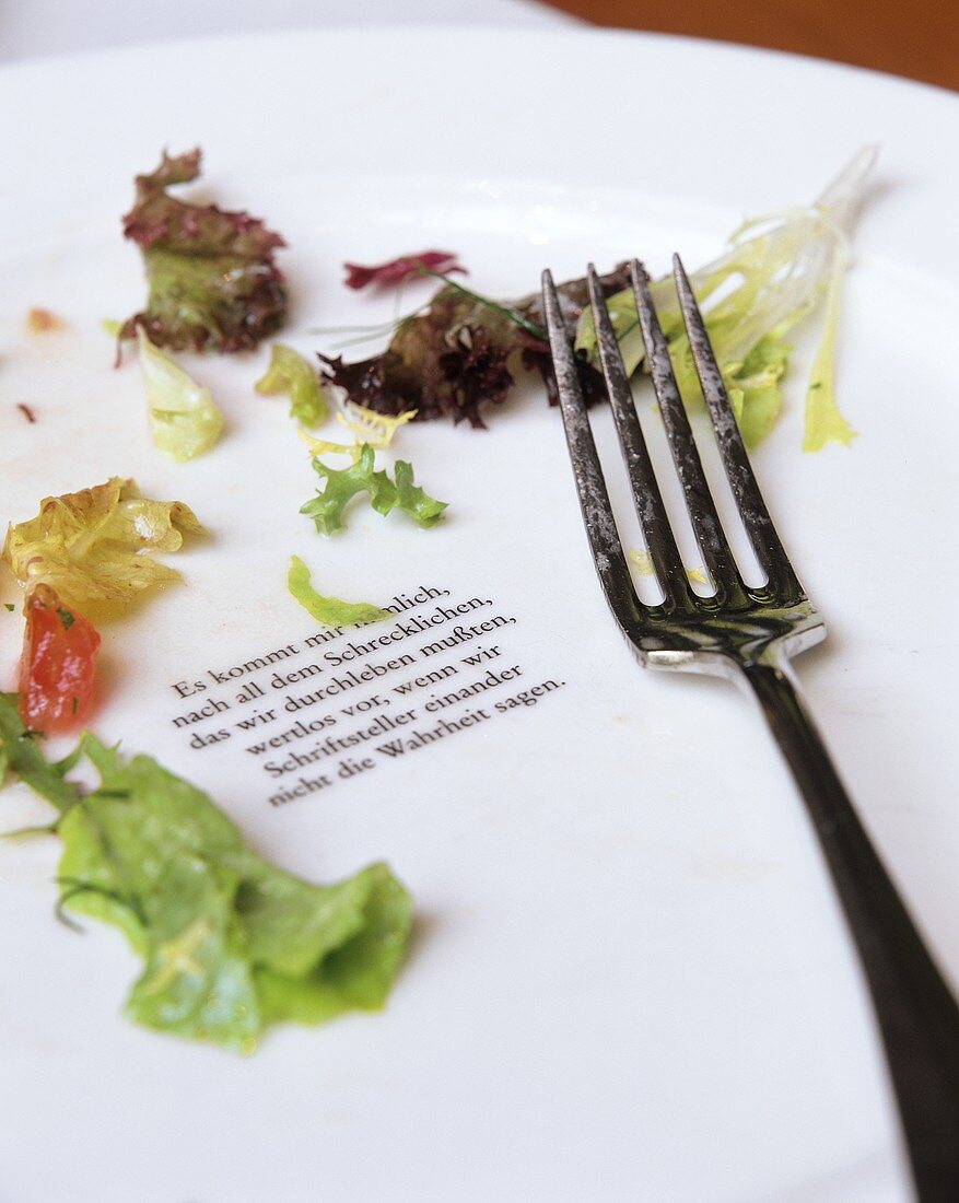 Poetry on empty salad plate in Café Dukatz (Munich)