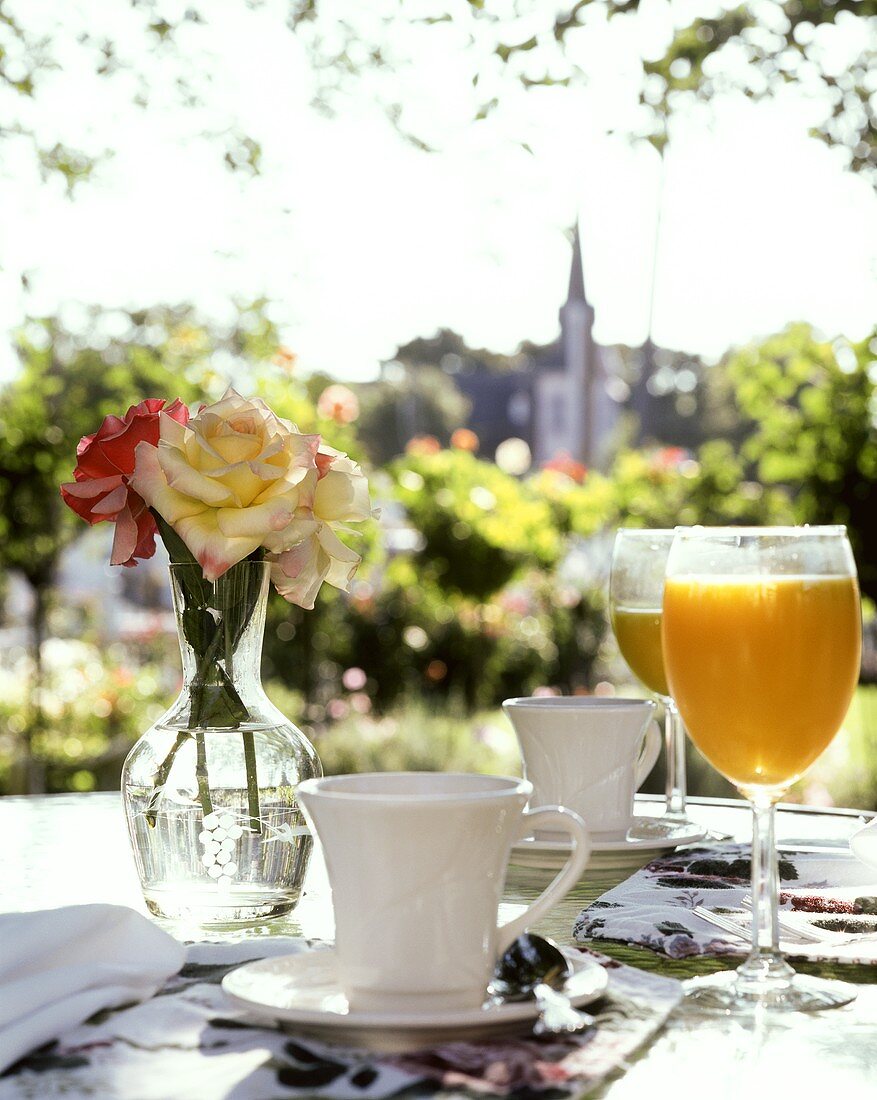 Breakfast table in open air in Oregon (USA)