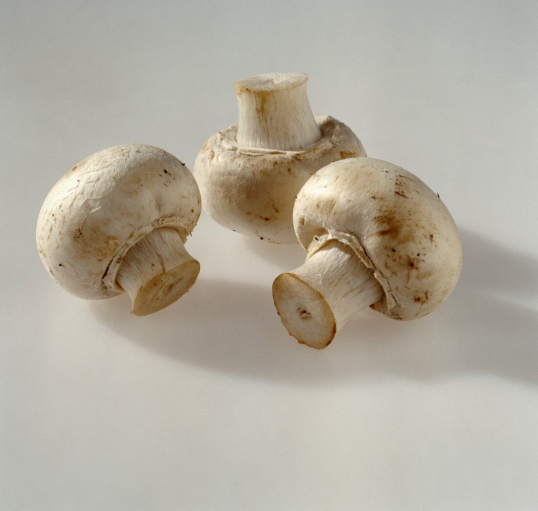 Three white button mushrooms