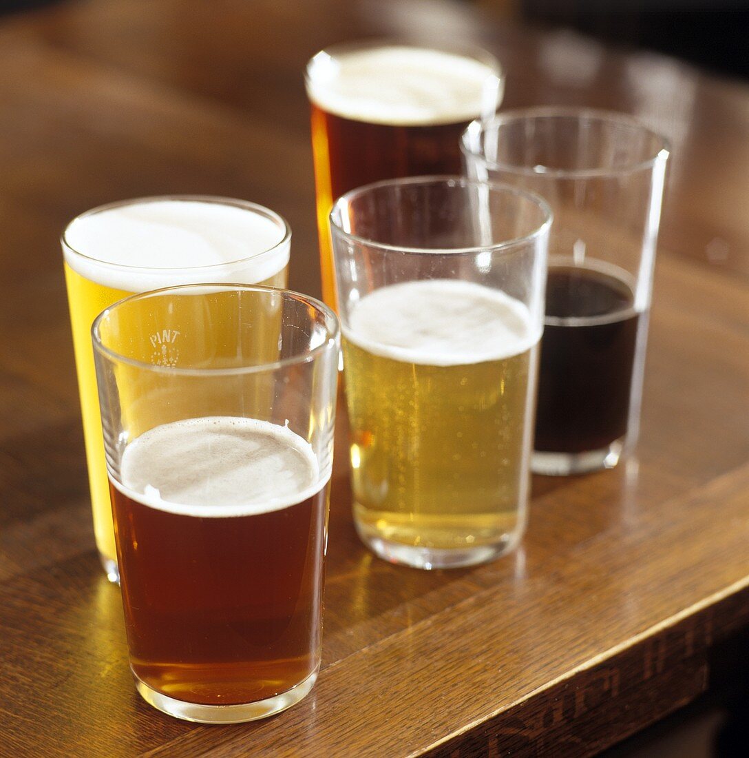 Verschiedene englische Biere in Gläsern