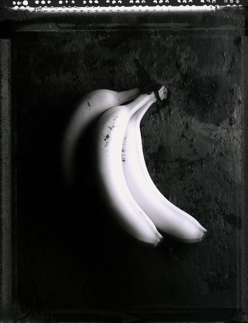 Bananas (black & white photo)