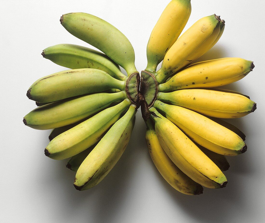 Ripe and unripe mini-bananas