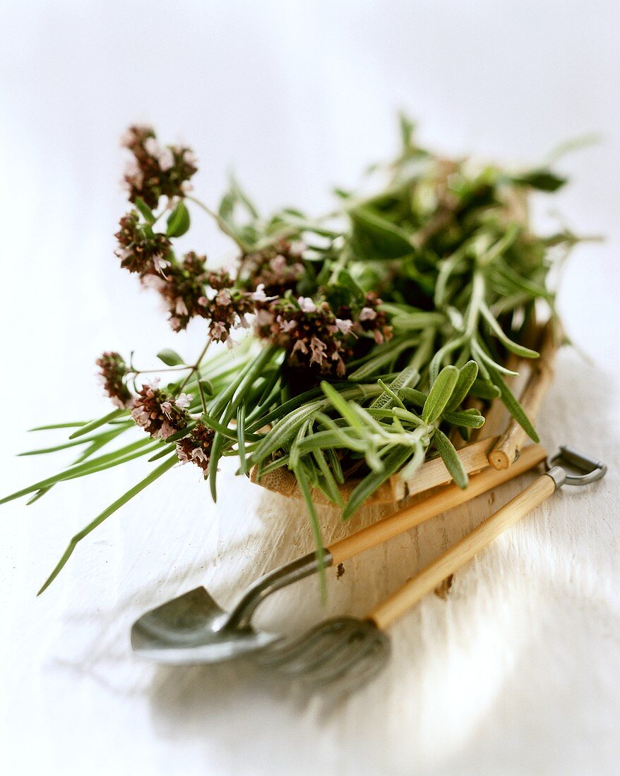 Stillleben mit Rosmarin, Schaufel und Forke