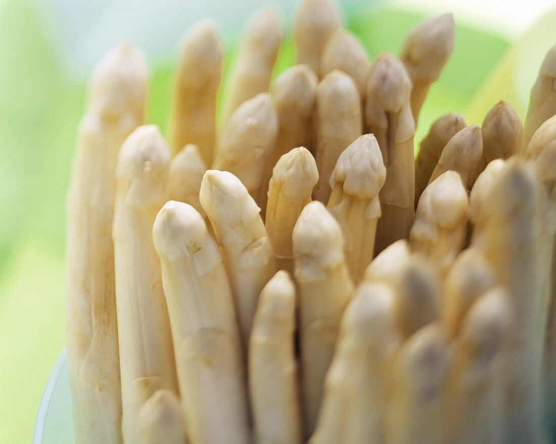 White Asparagus