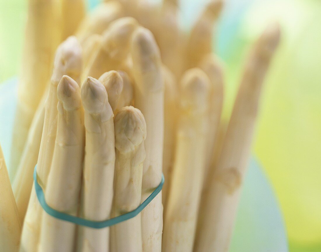 Bund weisser Spargel mit grünem Gummiring