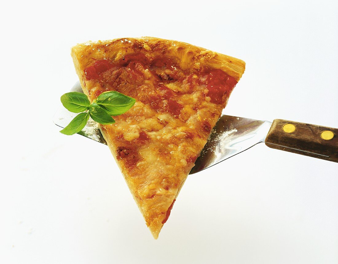 A piece of Pizza Margherita on a spatula